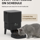 feeder-01-产品-场景图4