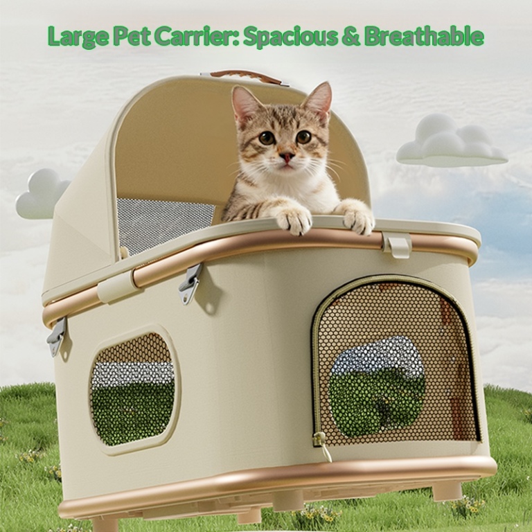 Revolutionizing Urban Mobility: Smart Pet Strollers Redefine the Pet Walking Experience