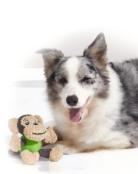 萌偶陪伴类 萌偶陪伴类