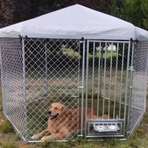 Kennel